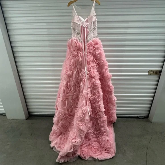 Blush Pink Beaded Ball Gown with Rosette Skirt – Medium Fit - Picture 7 of 16
